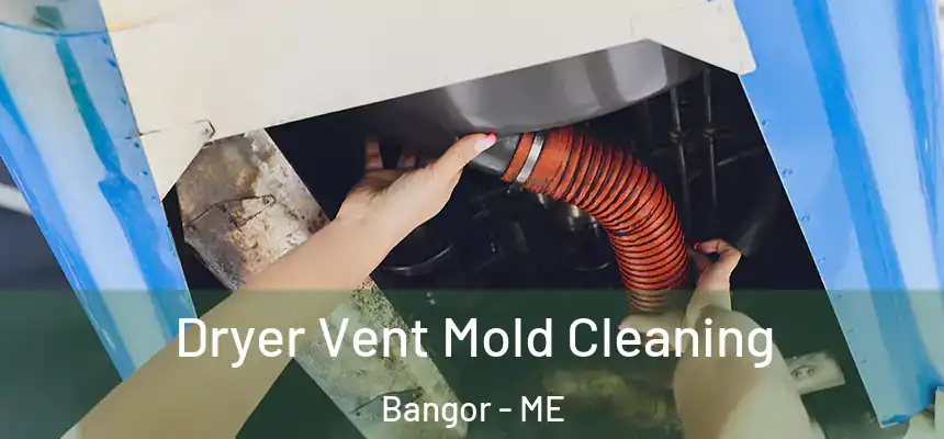 Dryer Vent Mold Cleaning Bangor - ME
