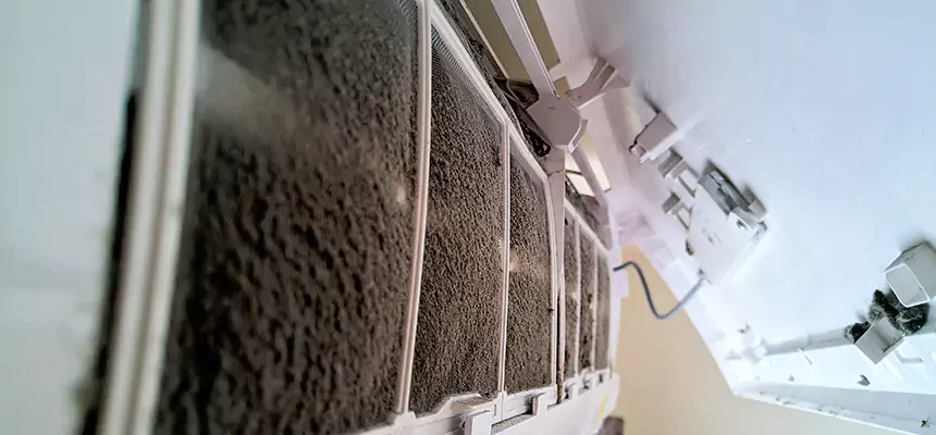 Preventive Air Duct Bacteria Removal in Bangor