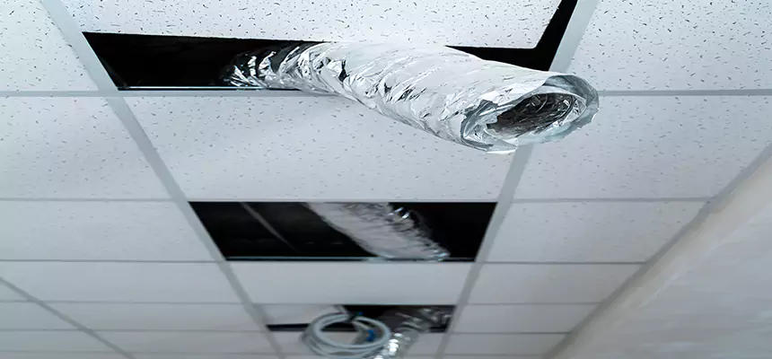 Affordable HVAC Sanitizing After Pest Removal in Bangor