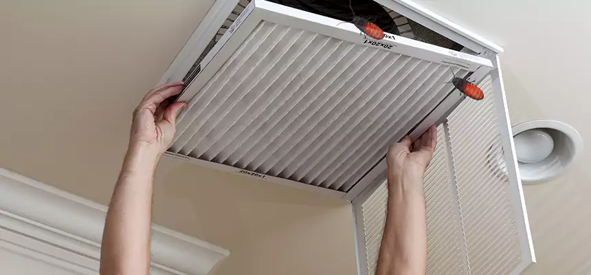 Our Insect Removal from Air Ducts Services in Bangor, ME