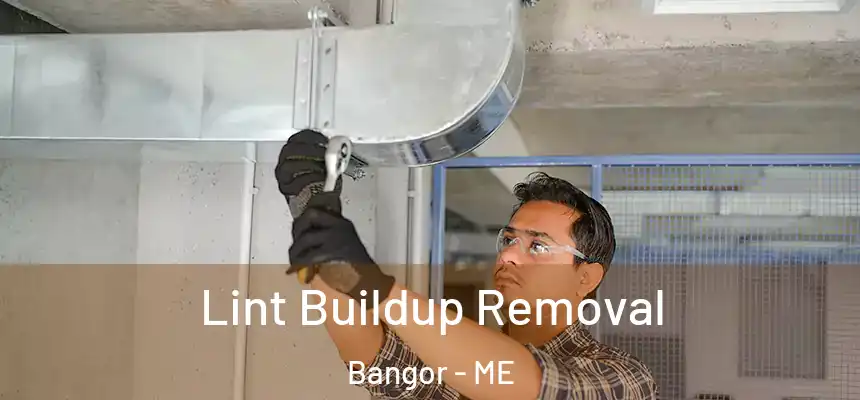 Lint Buildup Removal Bangor - ME