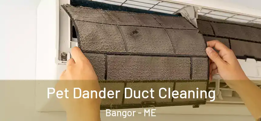 Pet Dander Duct Cleaning Bangor - ME