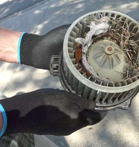 About Air Duct Rat Removal in Bangor, ME