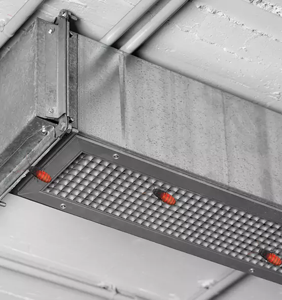 Affordable Insect Removal from Air Ducts in Bangor, ME