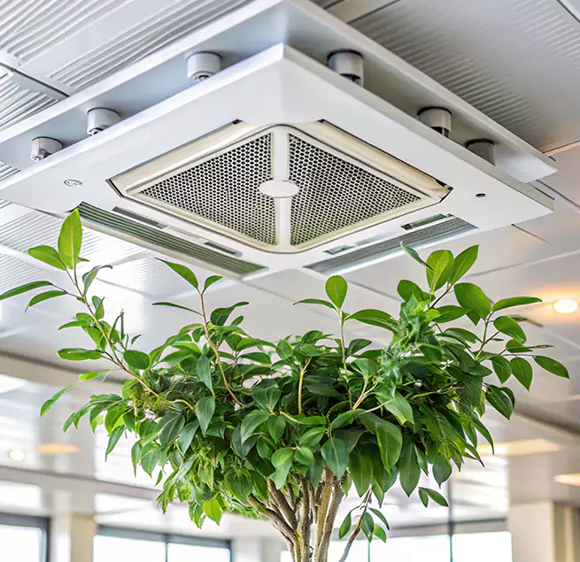 Why Homeowners & Businesses Trust Us in Bangor, ME